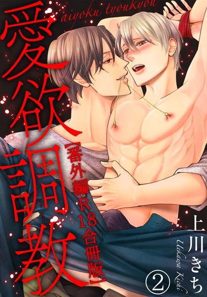 【漫画raw】愛欲調教R18合冊版(上川きち)